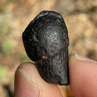Australite Tektite 3.7 grams AU15-Moldavite Life