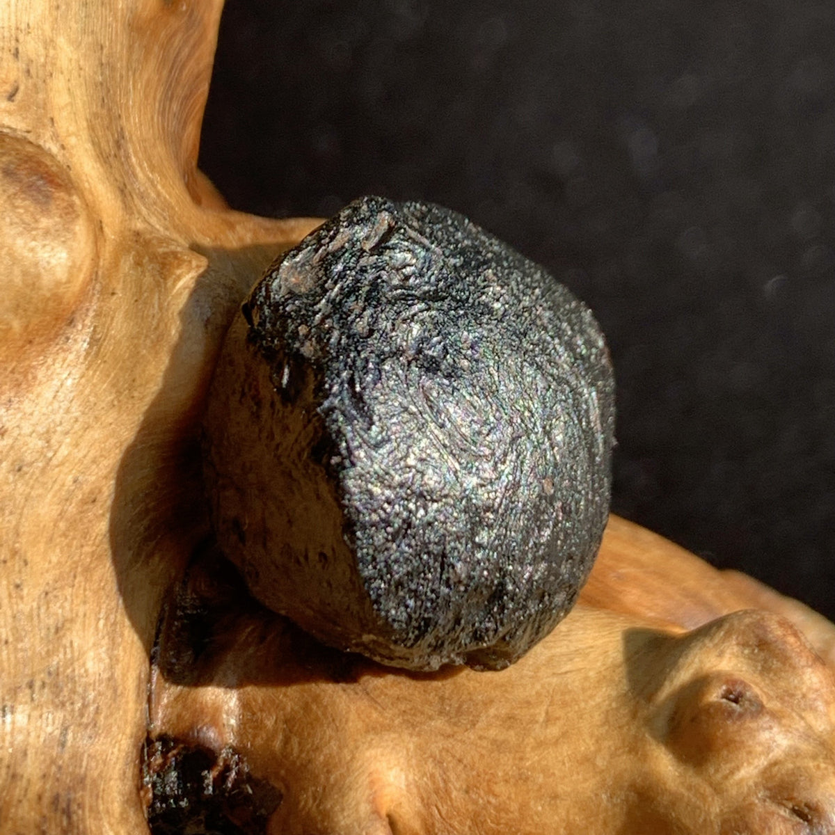 Australite Tektite 5 grams AU17-Moldavite Life
