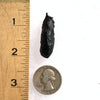 Australite Tektite 5.9 grams AU3-Moldavite Life