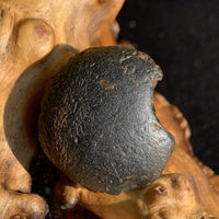Australite Tektite 8.1 grams AU9-Moldavite Life
