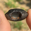 Australite Tektite 8.1 grams AU9-Moldavite Life