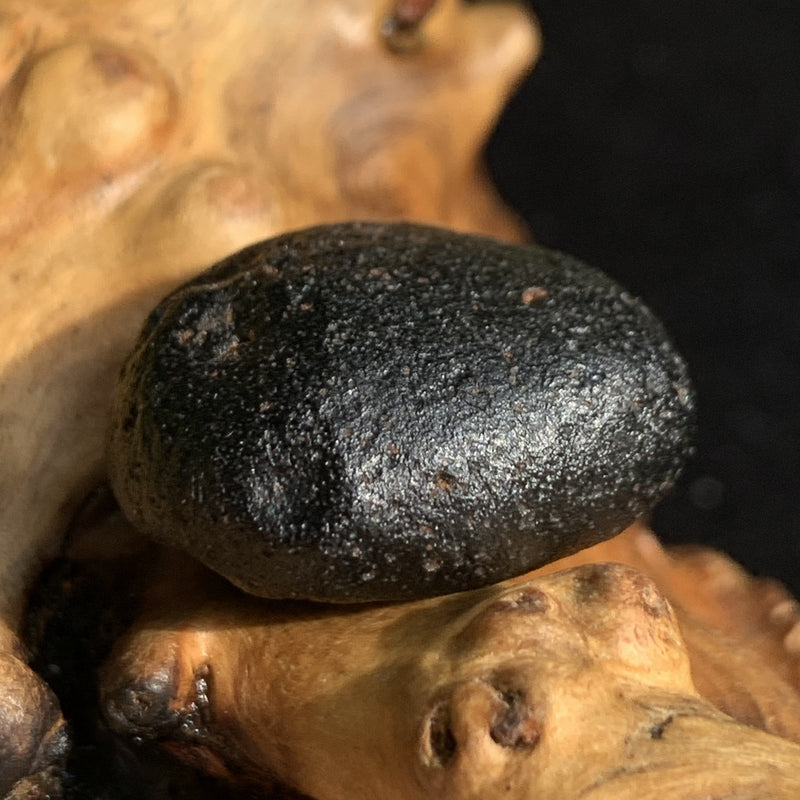 Australite Tektite 8.6 grams AU7-Moldavite Life