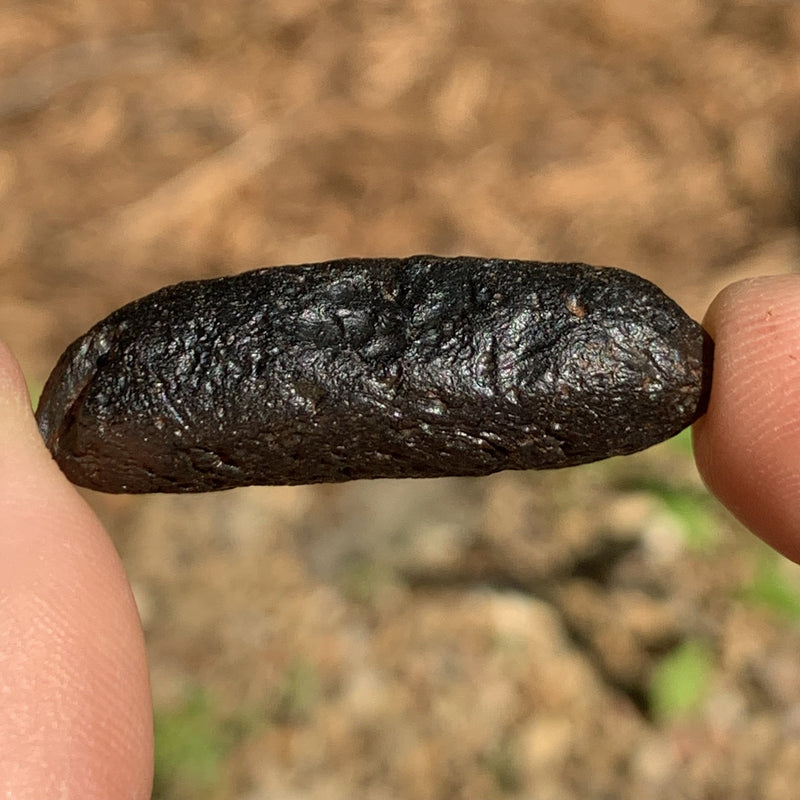 Australite Tektite 9.2 grams AU16-Moldavite Life