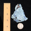 Benitoite, Neptunite, Natrolite, Joaquinite