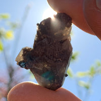 Gray quartz cluster with black brookite in matrix being held in hand with sun shining behind