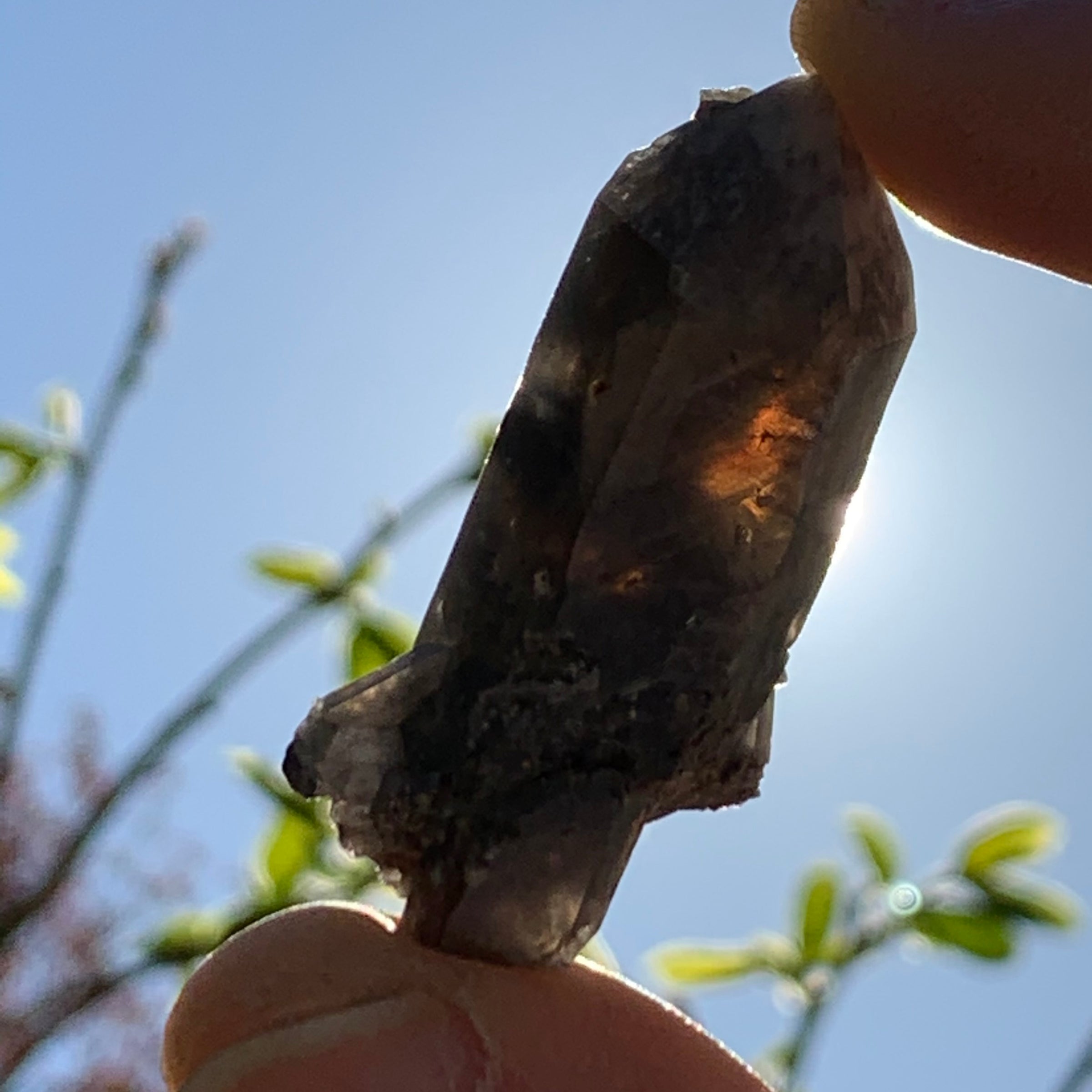 Gray quartz point with black brookite in matrix held in hand with sun shining through