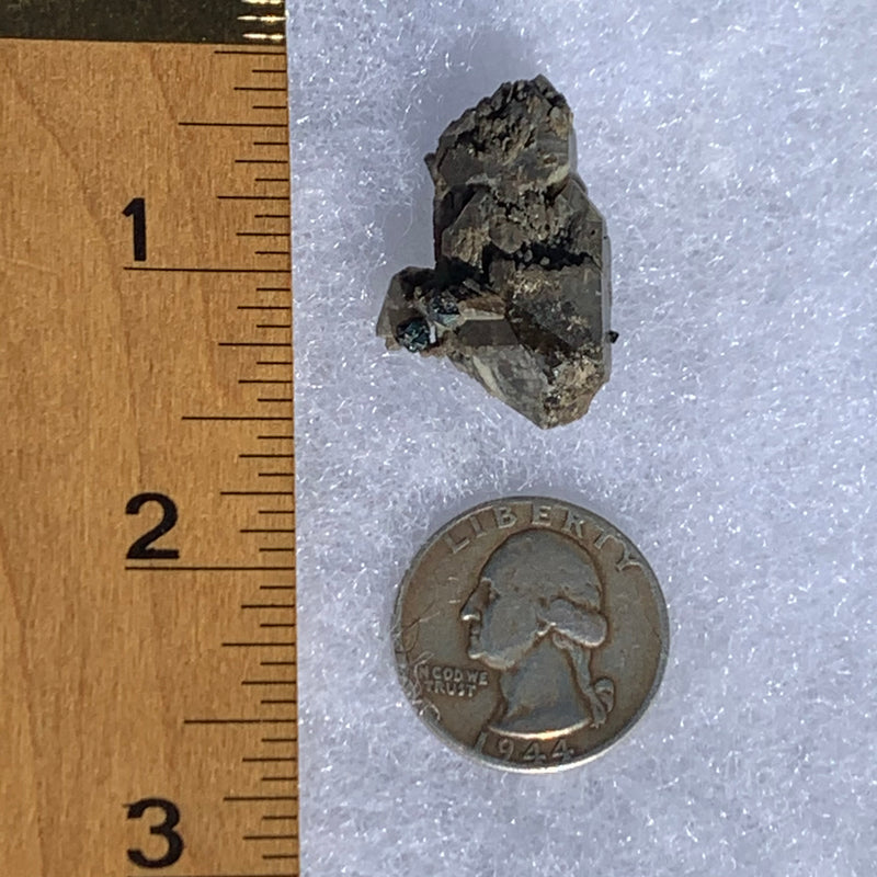 Gray quartz cluster with black brookite in matrix next to ruler and quarter for scale