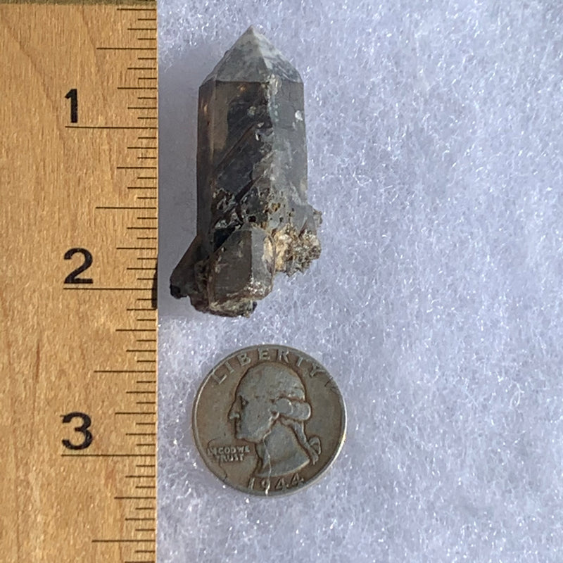 Gray quartz point with black brookite in matrix next to ruler and quarter for scale