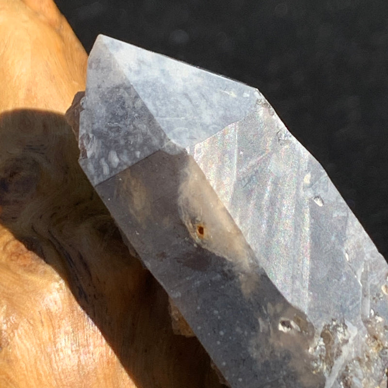 Gray quartz point with black brookite in matrix displayed on driftwood