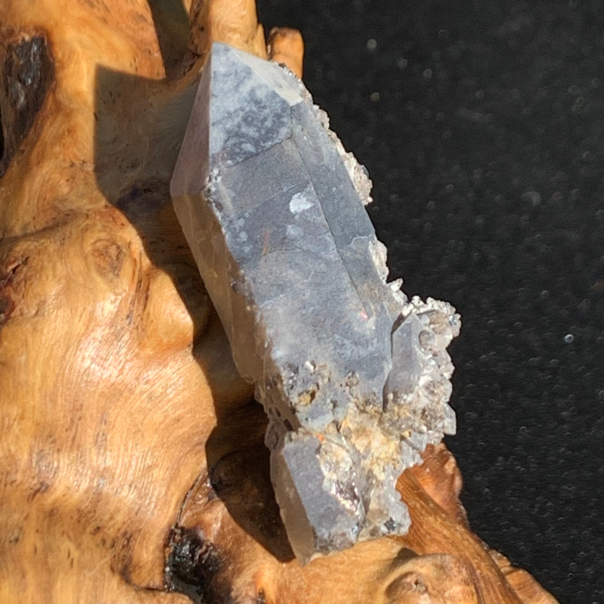 Gray quartz point with black brookite in matrix displayed on driftwood