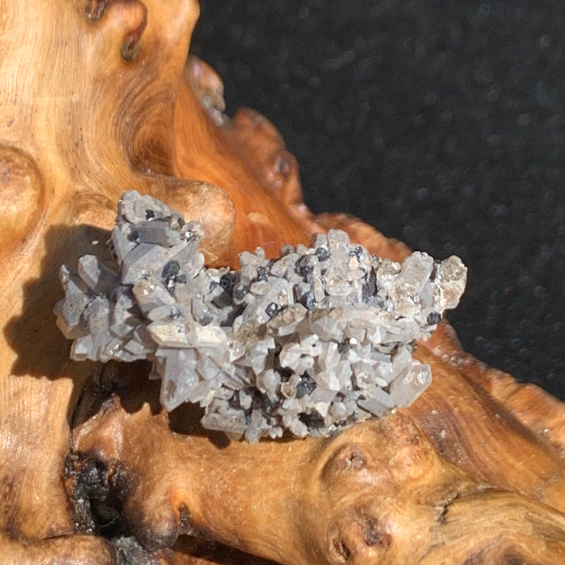 Gray quartz cluster with tiny black brookite in matrix displayed on driftwood