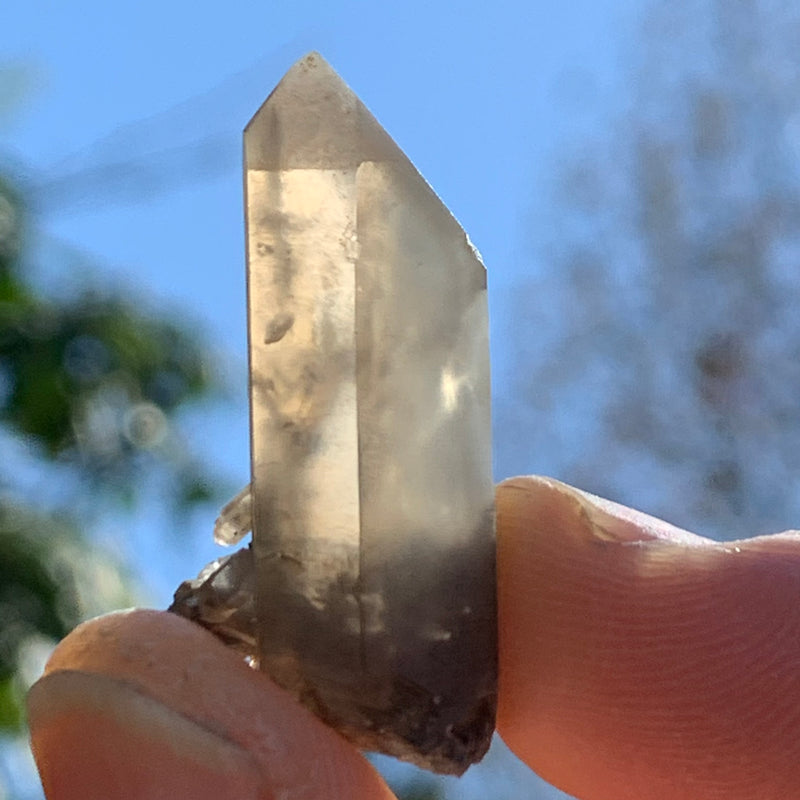 Gray quartz point with tiny black brookite in matrix in hand with sunlight shining through