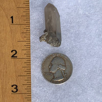 Gray quartz point with tiny black brookite in matrix next to ruler and quarter for scale