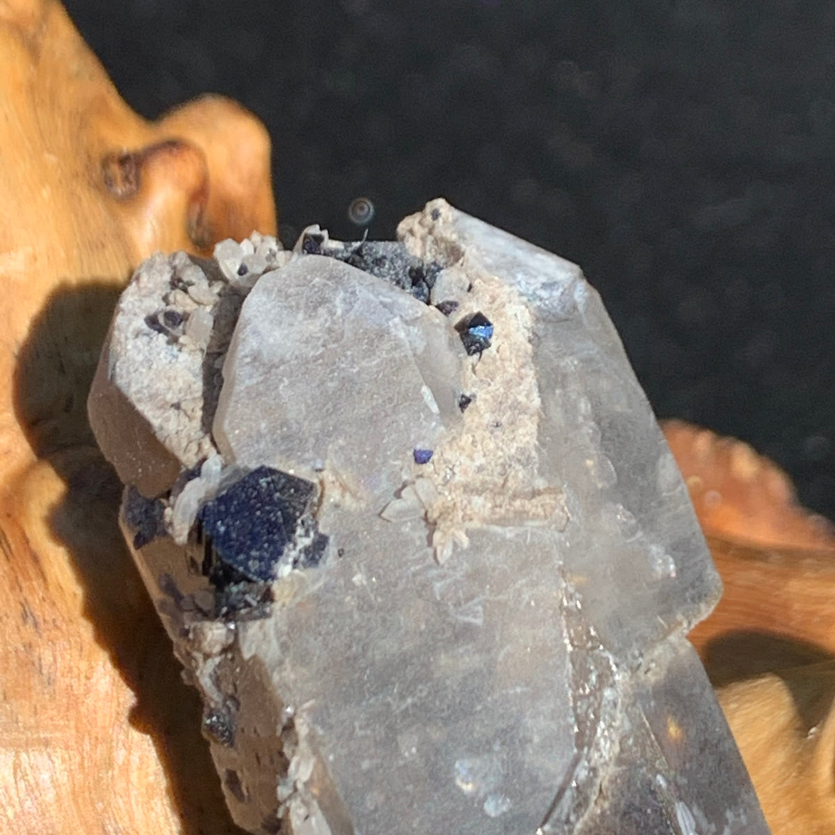 close up view of medium and tiny brookite crystals on a triple pointed smokey quartz sitting on driftwood for display