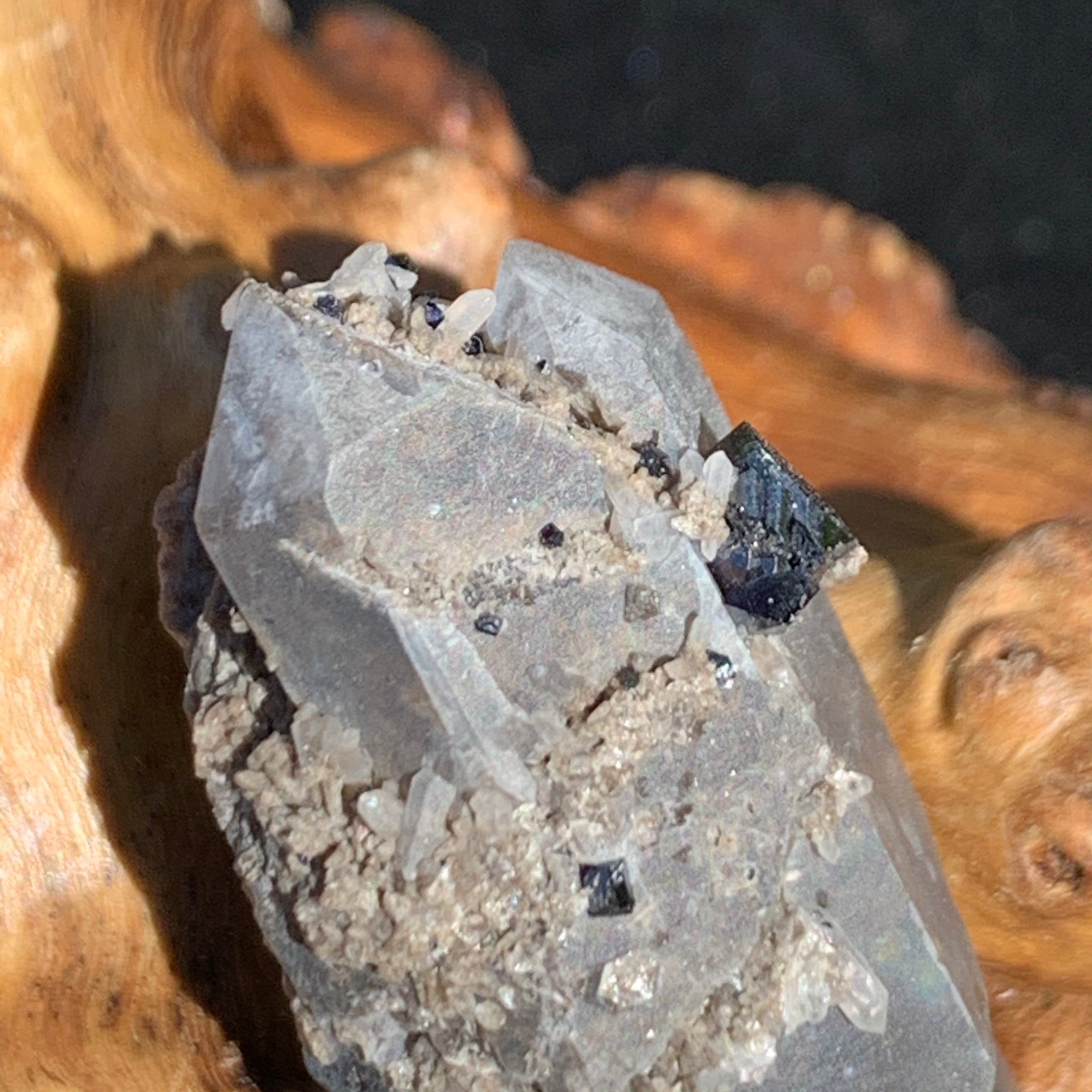 close up view of medium and tiny brookite crystals on a triple pointed smokey quartz sitting on driftwood for display
