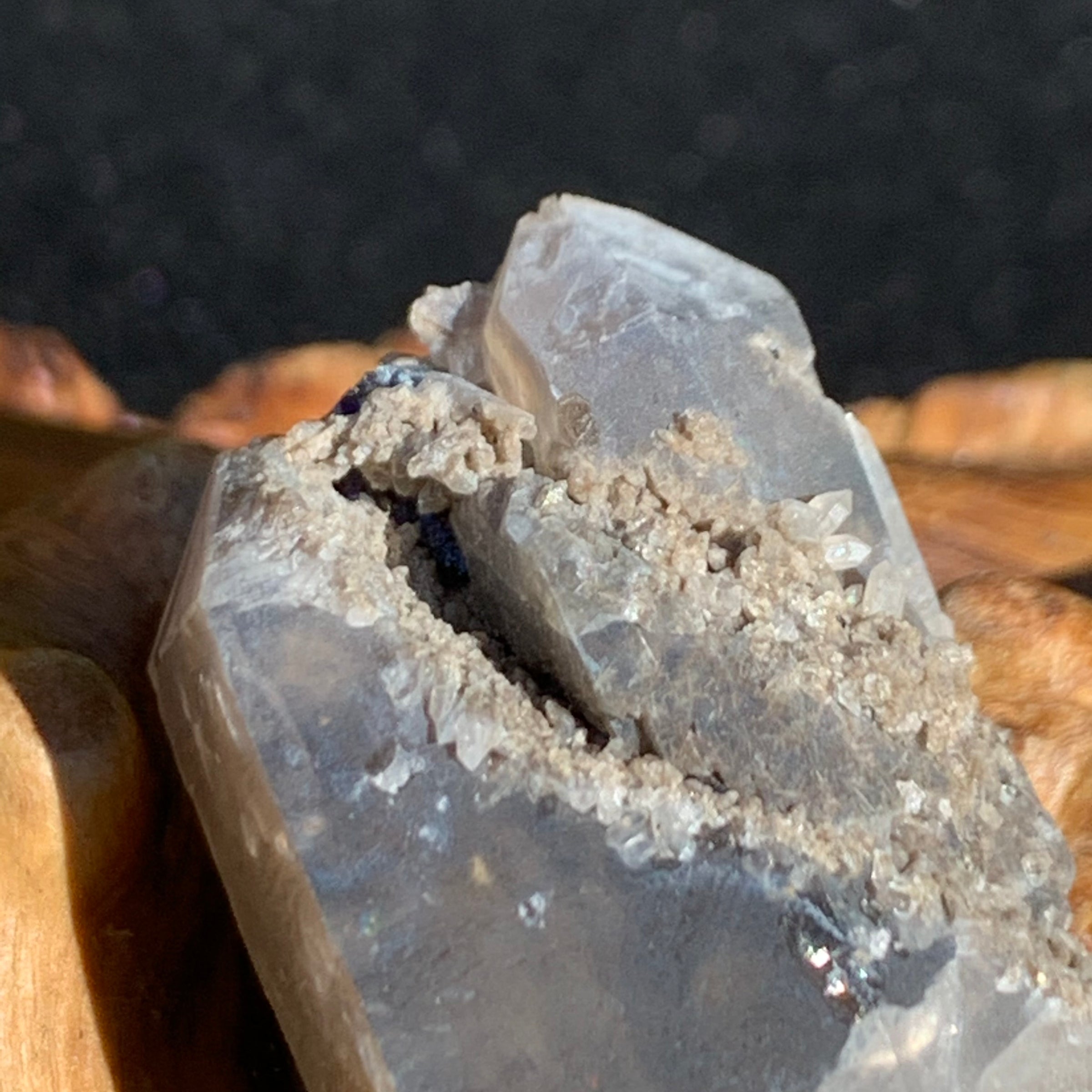 close up view of the detailed formations of a triple pointed smokey quartz with brookite crystals on it sitting on driftwood for display