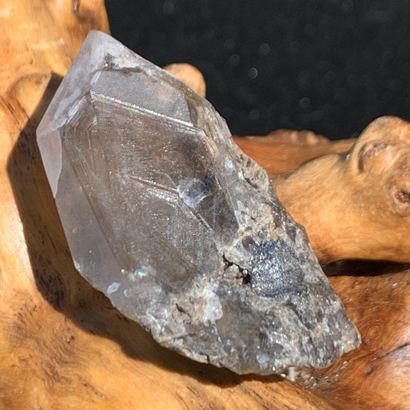 medium and tiny brookite crystals on a smokey quartz point sitting on driftwood for display