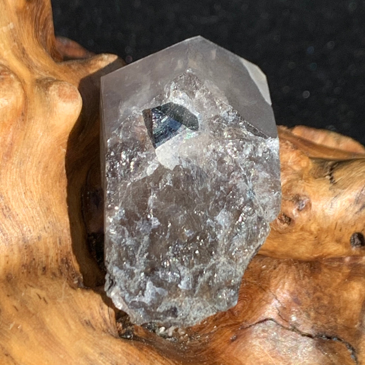 medium and tiny brookite crystals on a smokey quartz point sitting on driftwood for display