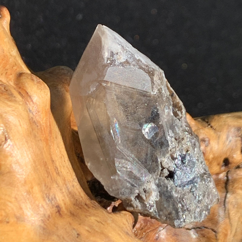 medium and tiny brookite crystals on a smokey quartz point sitting on driftwood for display