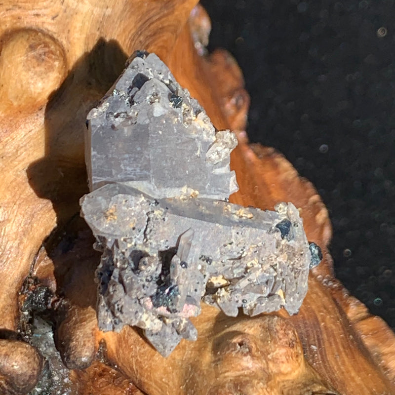 small and tiny brookite crystals on a smokey quartz point cluster sitting on driftwood for display