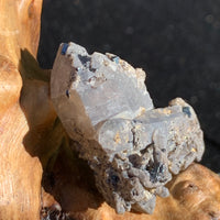 small and tiny brookite crystals on a smokey quartz point cluster sitting on driftwood for display