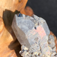 small and tiny brookite crystals on a smokey quartz point cluster with an iridescent sheen sitting on driftwood for display