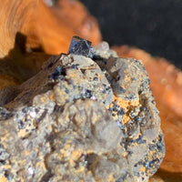 close up view of small brookite crystals on a smokey quartz cluster sitting on driftwood for display