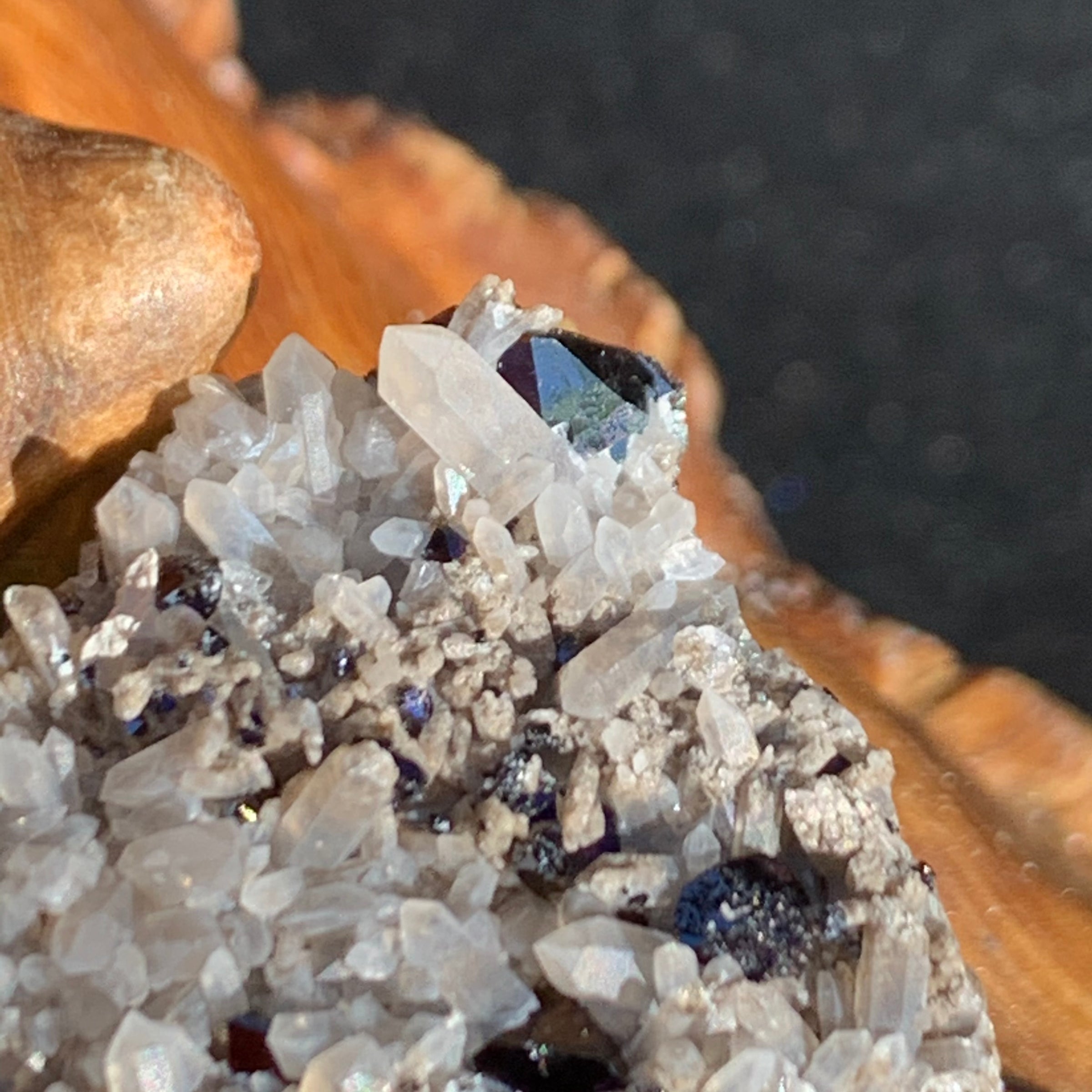 close up view of large and small brookite crystals on a smokey quartz point cluster sitting on driftwood for display