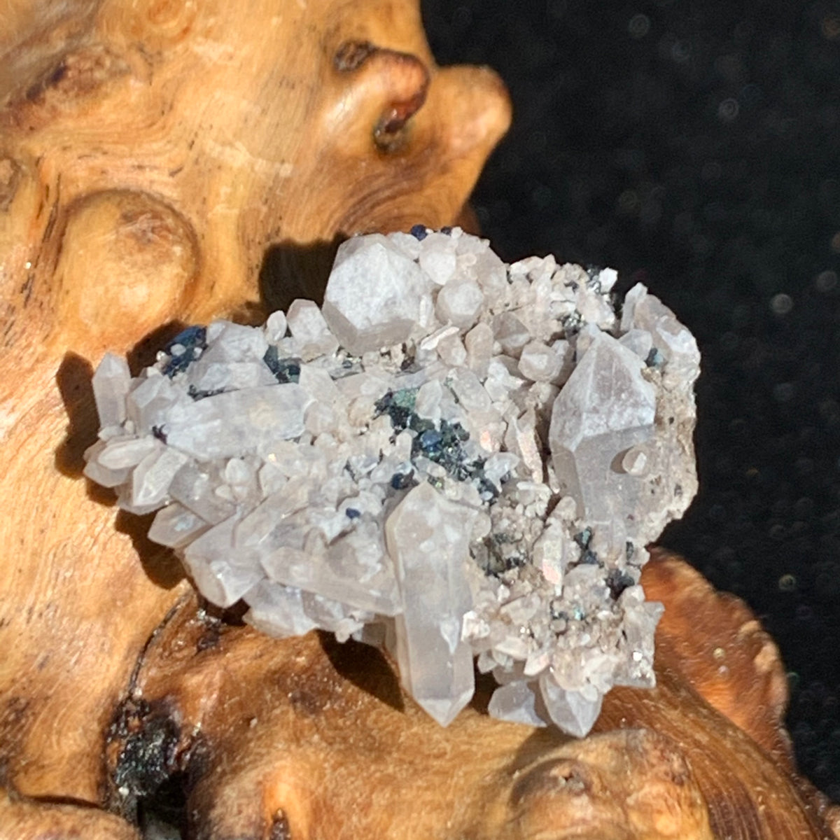 tiny brookite crystals on a smokey quartz point cluster sitting on driftwood for display