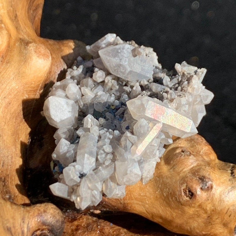 tiny brookite crystals on a smokey quartz point cluster with an iridescent sheen sitting on driftwood for display