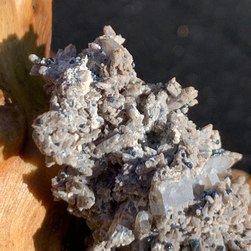 close up view of tiny brookite crystals on a smokey quartz cluster sitting on driftwood for display