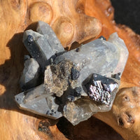 big and small brookite crystals on a smokey quartz point cluster sitting on driftwood for display