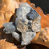 big and small brookite crystals on a smokey quartz point cluster sitting on driftwood for display