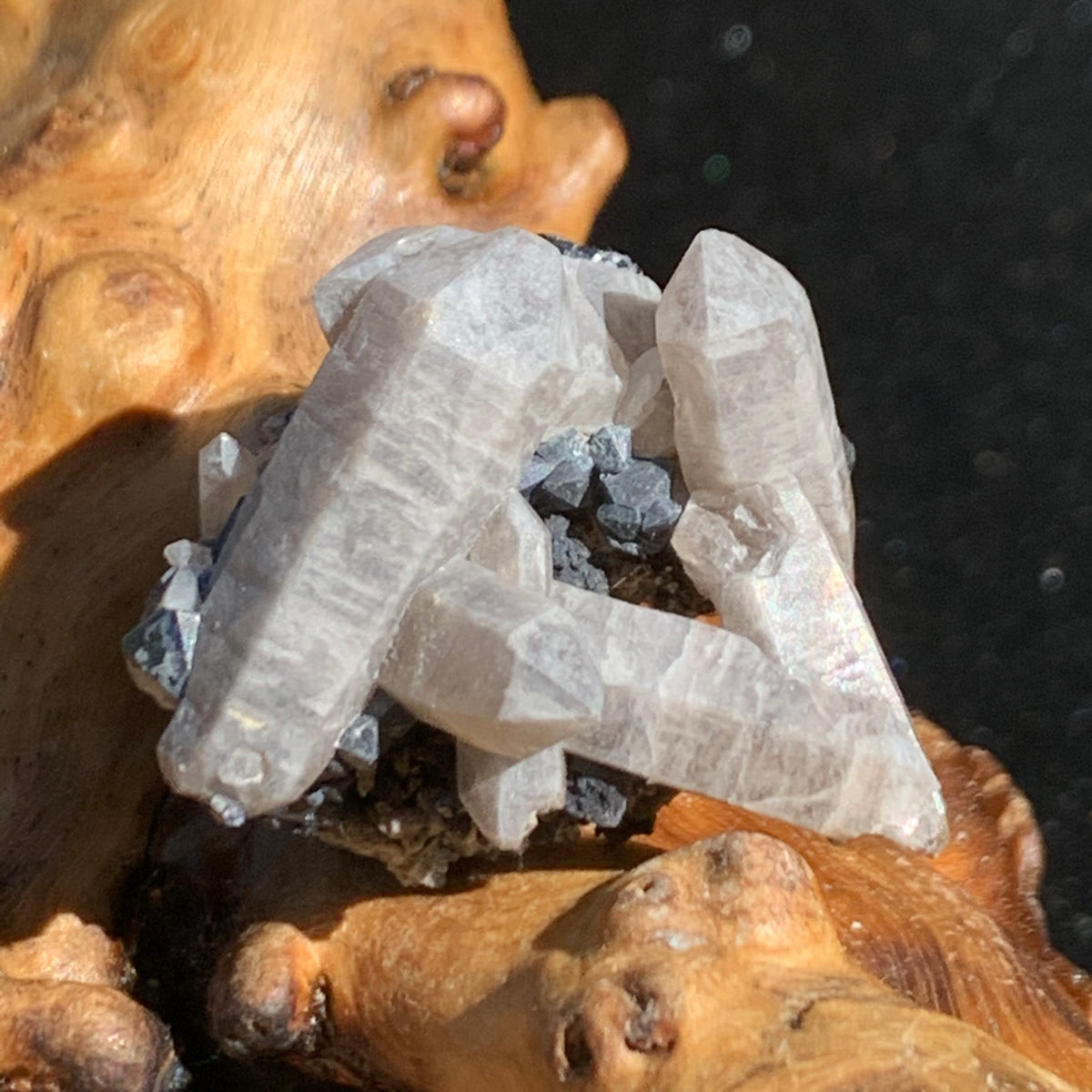 medium and small brookite crystals on a smokey quartz point cluster sitting on driftwood for display