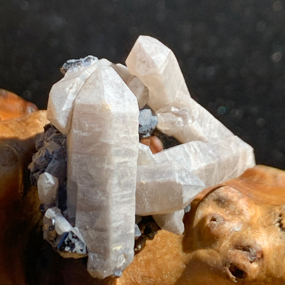 medium and small brookite crystals on a smokey quartz point cluster sitting on driftwood for display