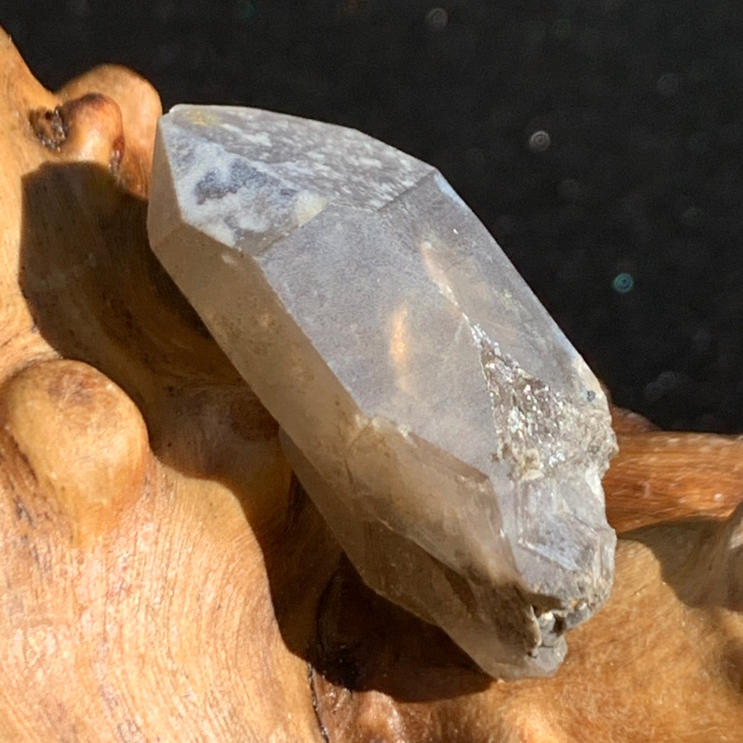tiny brookite crystals on a terminated smokey quartz crystal sitting on driftwood for display