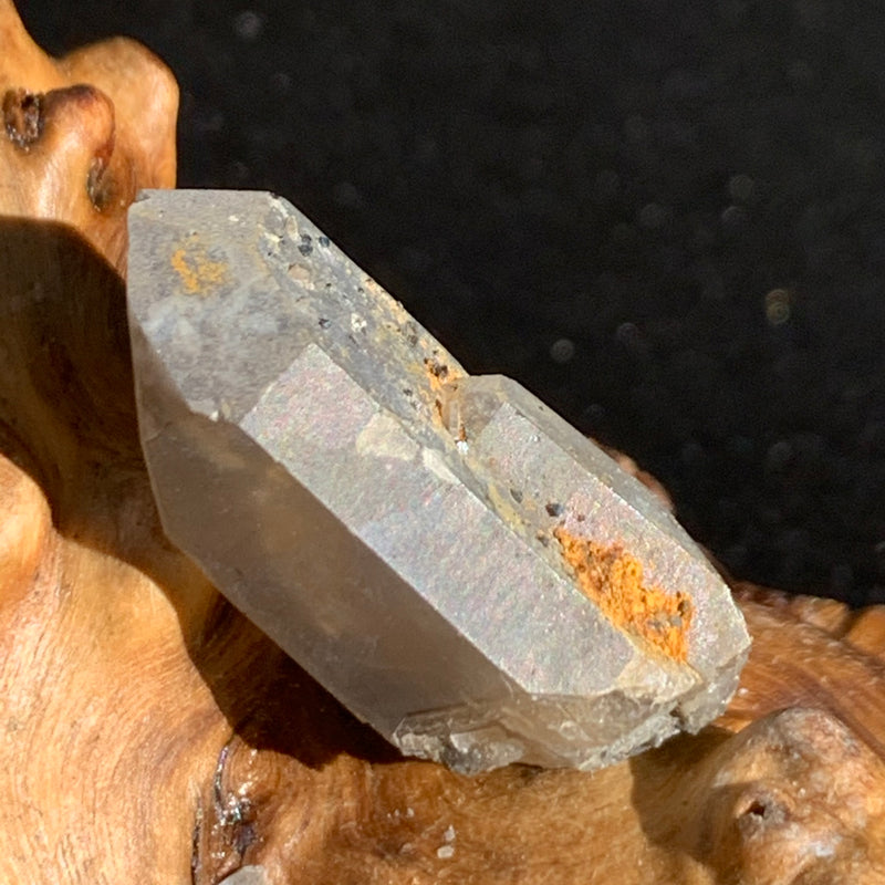 tiny brookite crystals on a terminated smokey quartz crystal sitting on driftwood for display