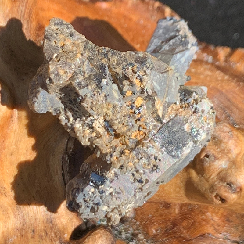 tiny brookite crystals on a smokey quartz point cluster sitting on driftwood for display