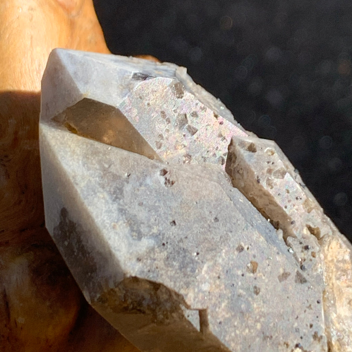 close up view of tiny brookite crystals on a smokey quartz point sitting on driftwood for display