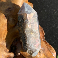 tiny brookite crystals on a smokey quartz point with an iridsescent sheen sitting on driftwood for display