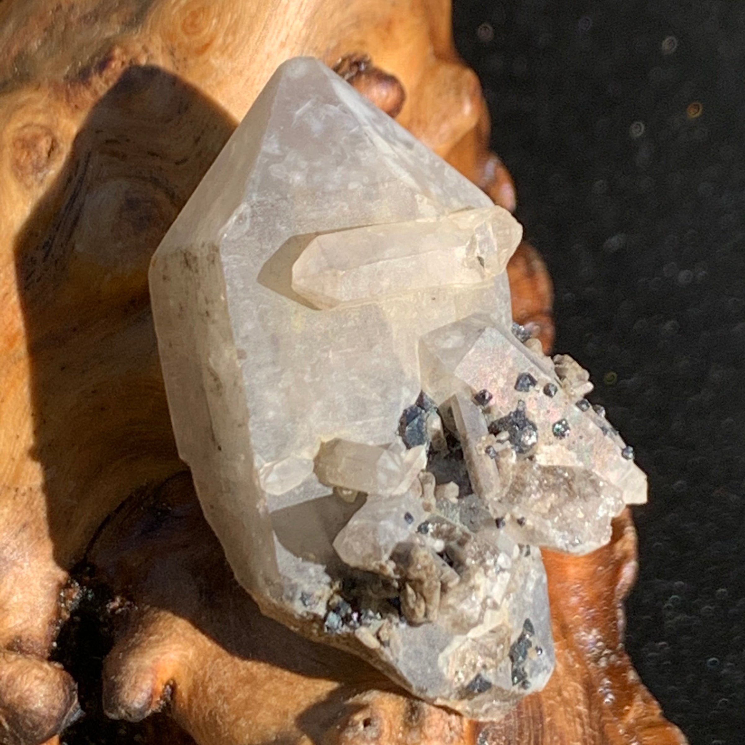 tiny, small, and medium brookite crystals on a smokey quartz point cluster sitting on driftwood for display