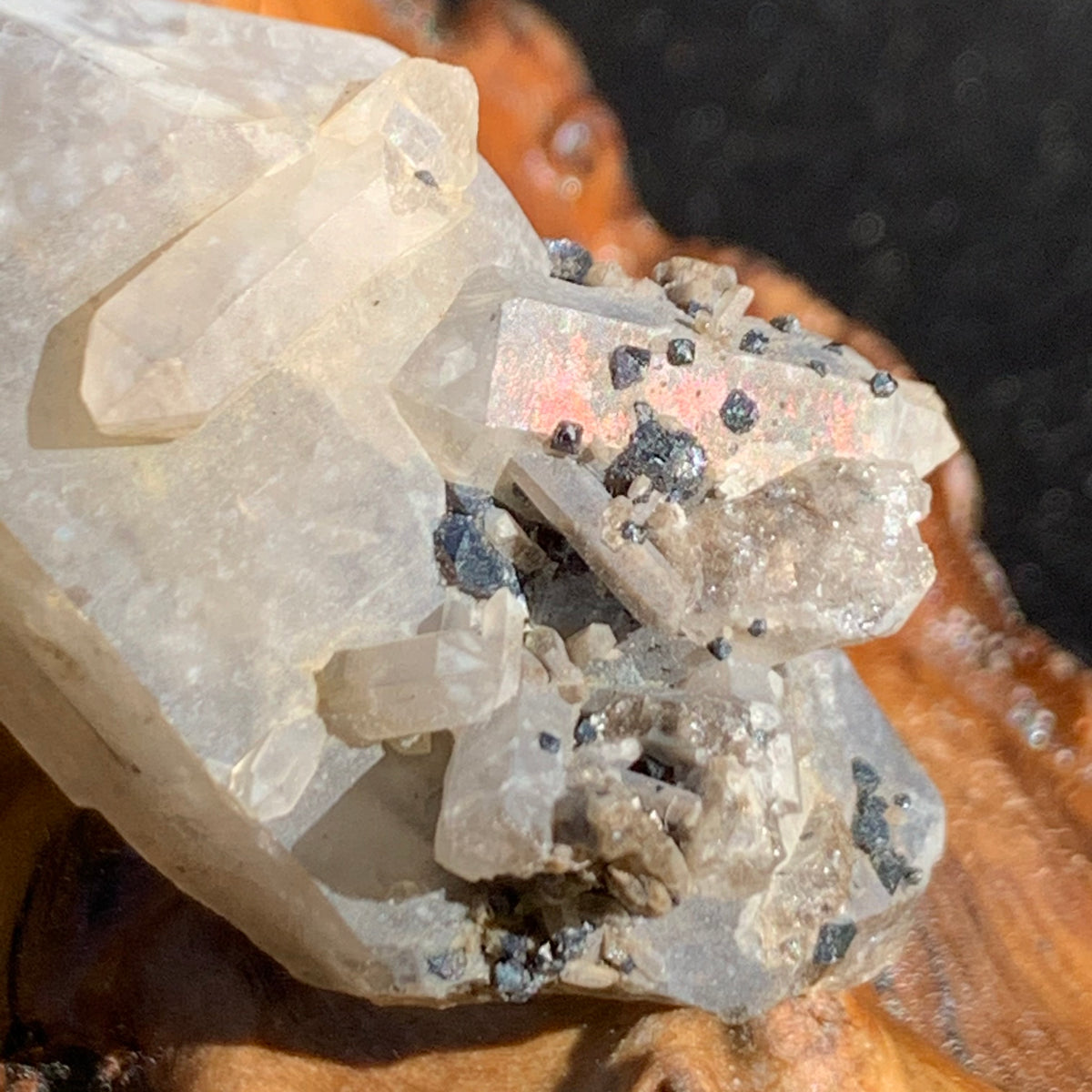 close up view of small and medium brookite crystals on a smokey quartz point cluster sitting on driftwood for display