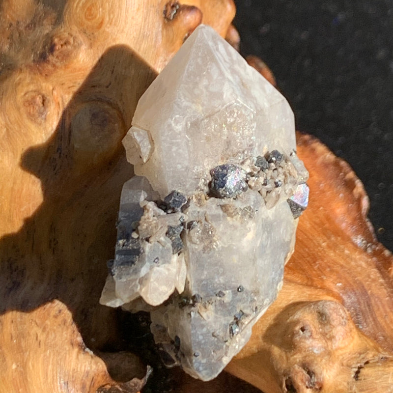 tiny, small, and medium brookite crystals on a smokey quartz point cluster sitting on driftwood for display