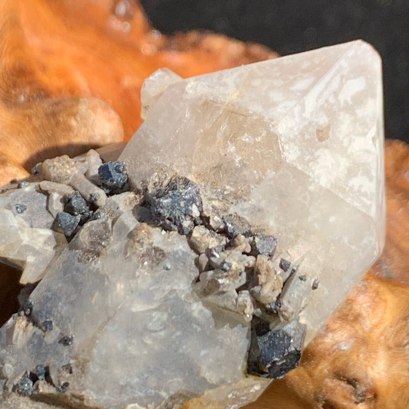 close up view of tiny, small, and medium brookite crystals on a smokey quartz point cluster sitting on driftwood for display