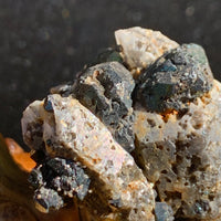 close up view of large brookite crystals on a smokey quartz cluster sitting on driftwood for display