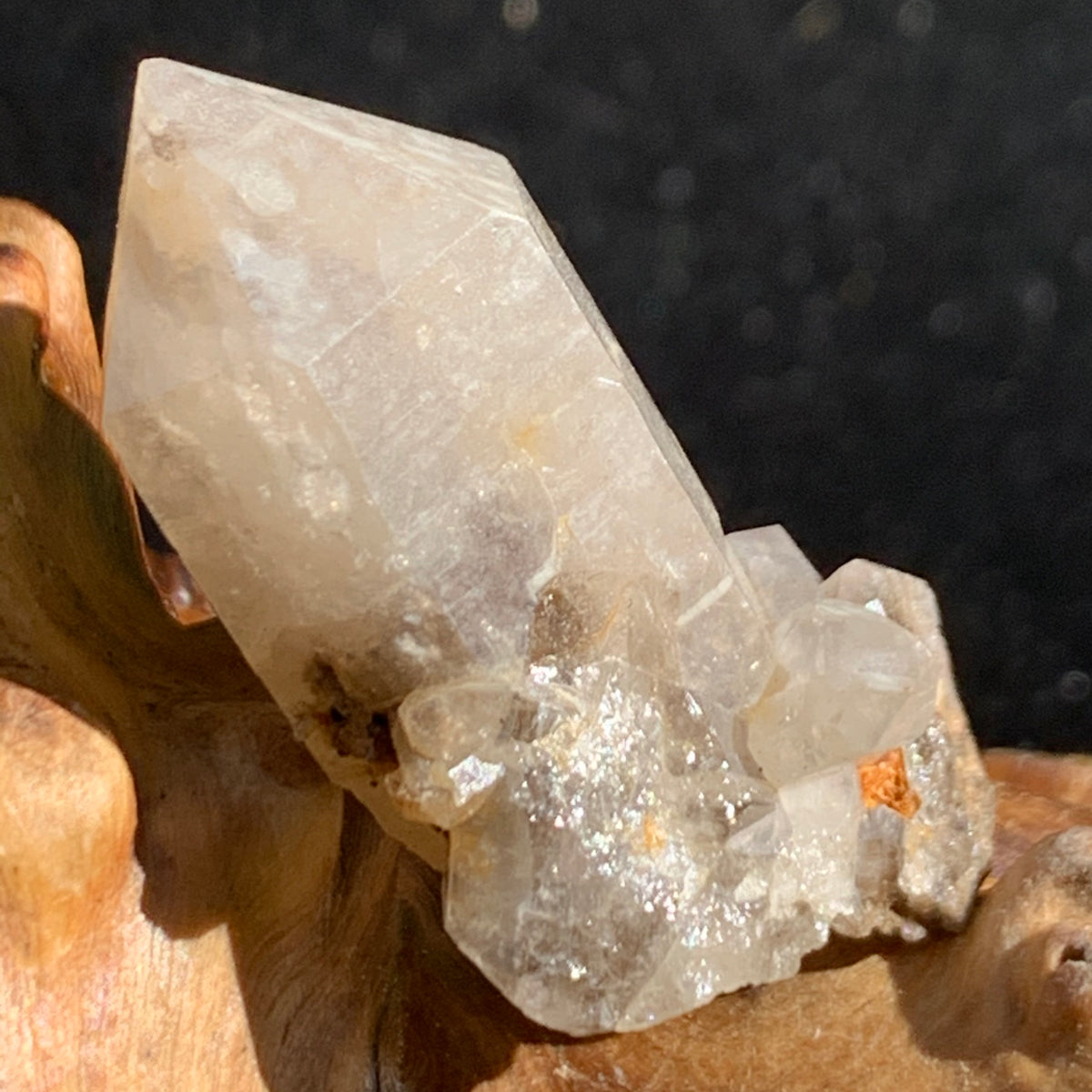 smokey quartz point cluster with tiny brookite on it sitting on driftwood for display