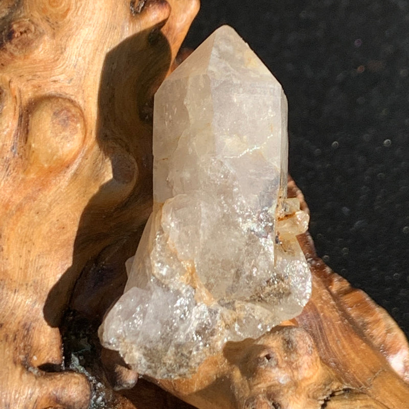 smokey quartz point cluster with tiny brookite on it sitting on driftwood for display