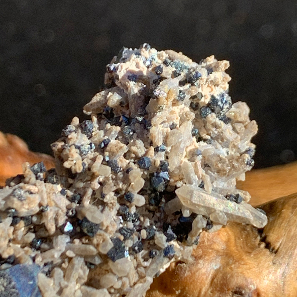 close up view of tiny brookite crystals on a smokey quartz cluster sitting on driftwood for display