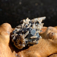 close up view of large and tiny brookite crystals on a smokey quartz cluster sitting on driftwood for display