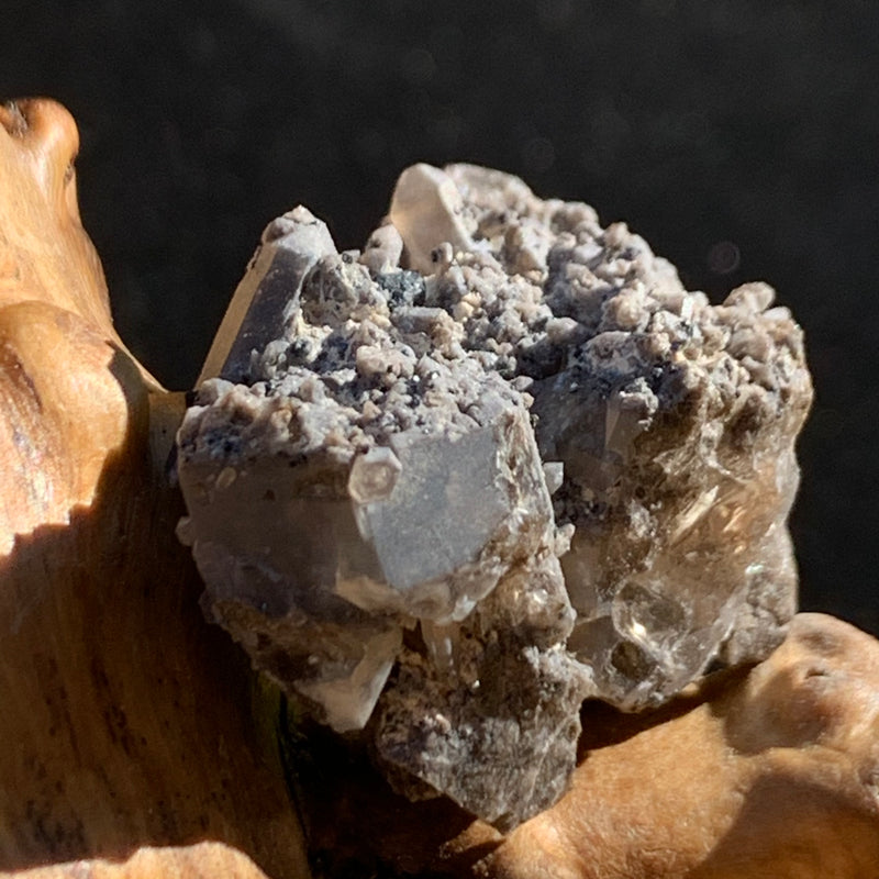 tiny brookite crystals on a smokey quartz cluster sitting on driftwood for display